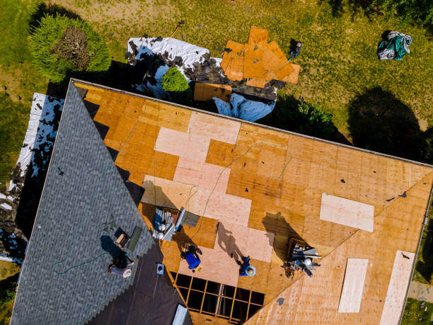Best Metal Roofing Contractor  in Faison, NC