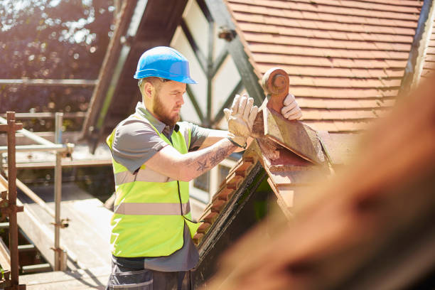 Best Roof Gutter Cleaning  in Faison, NC